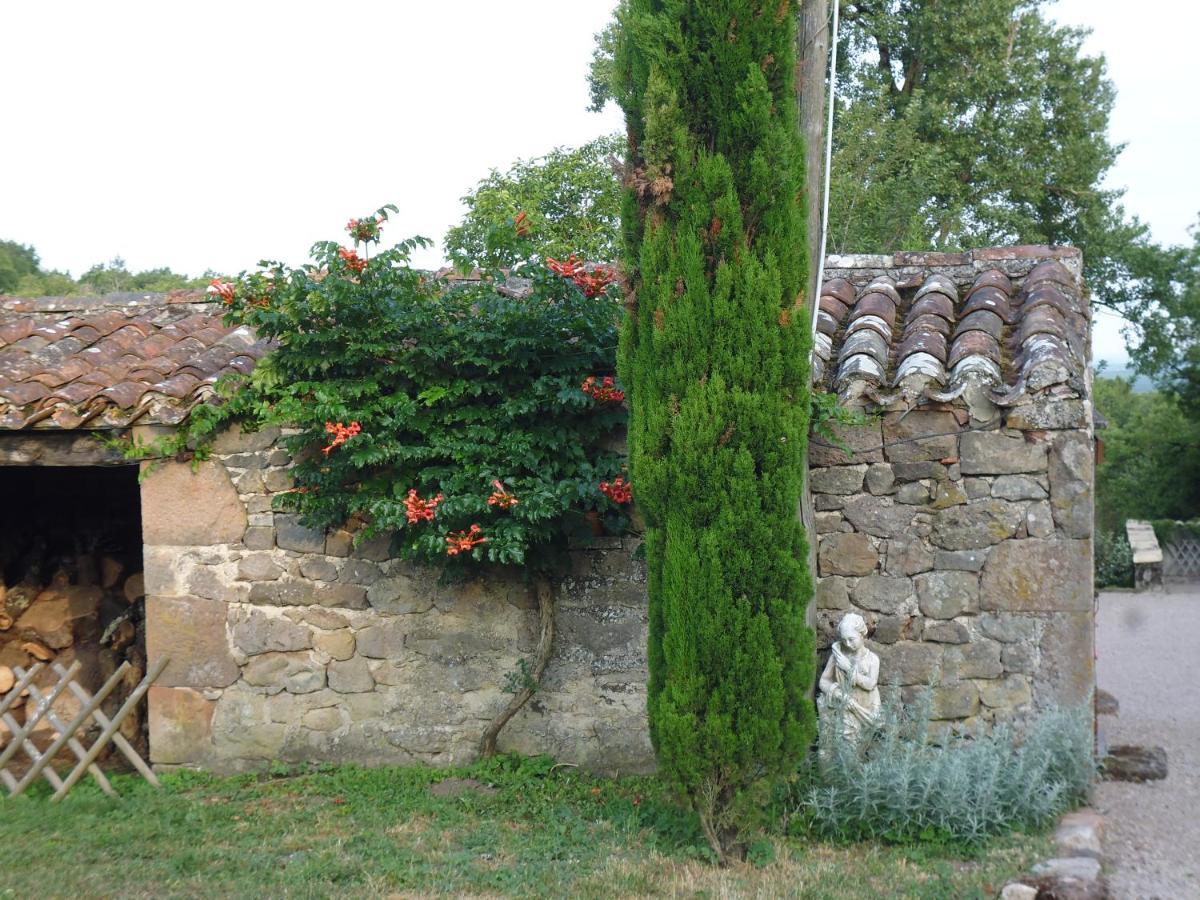 Bed and Breakfast La Fleur De Lys Roussayrolles Экстерьер фото